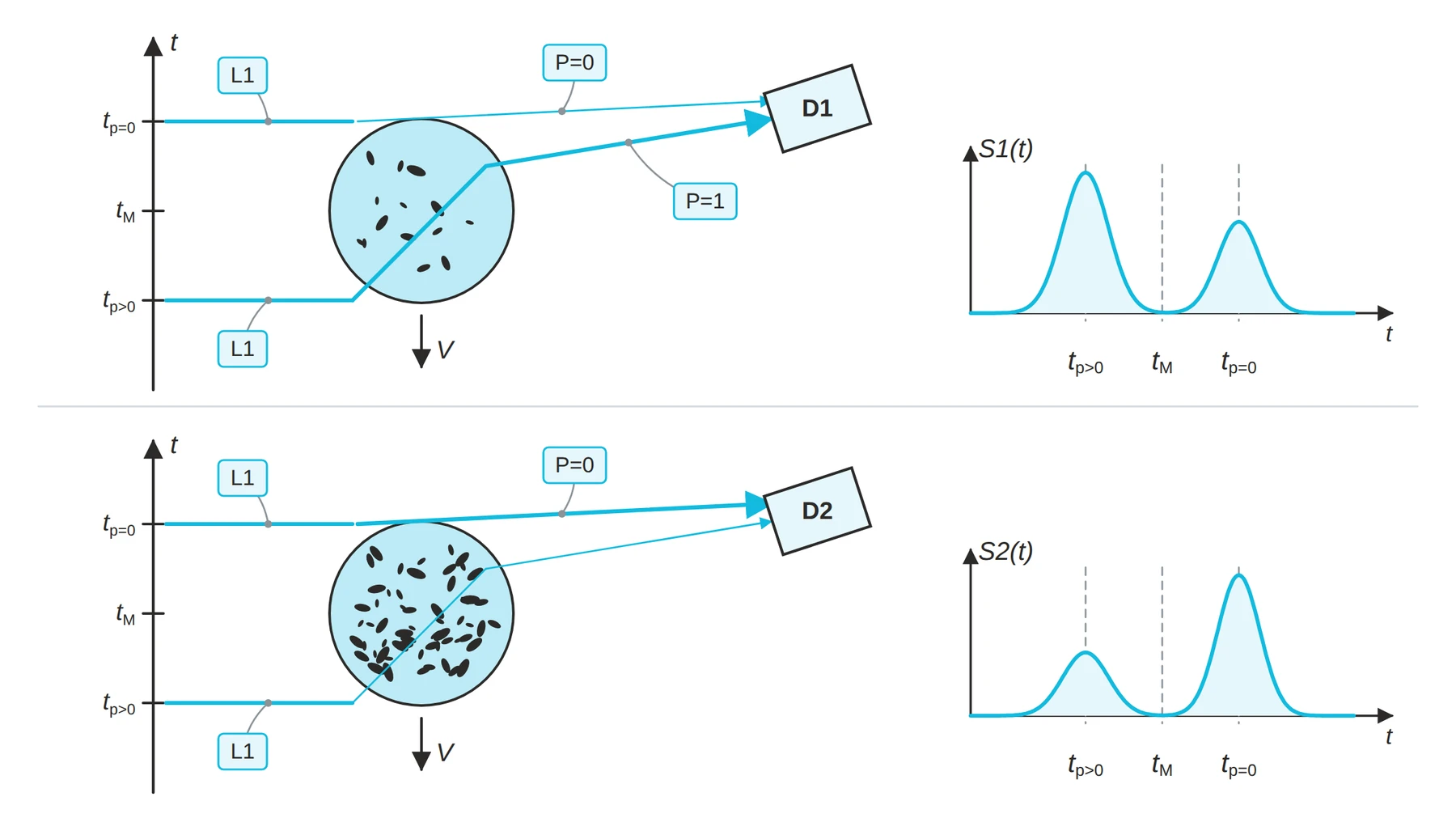 Time order of the scattered light peaks for semi-transparent and non-transparent paint droplets